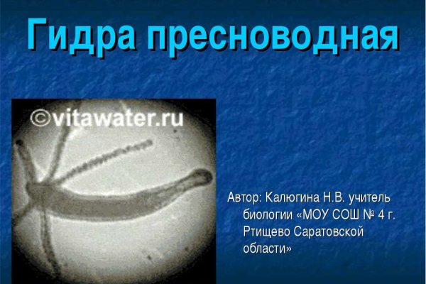 Сайт кракен через тор