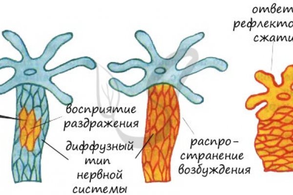 Kraken для россиян